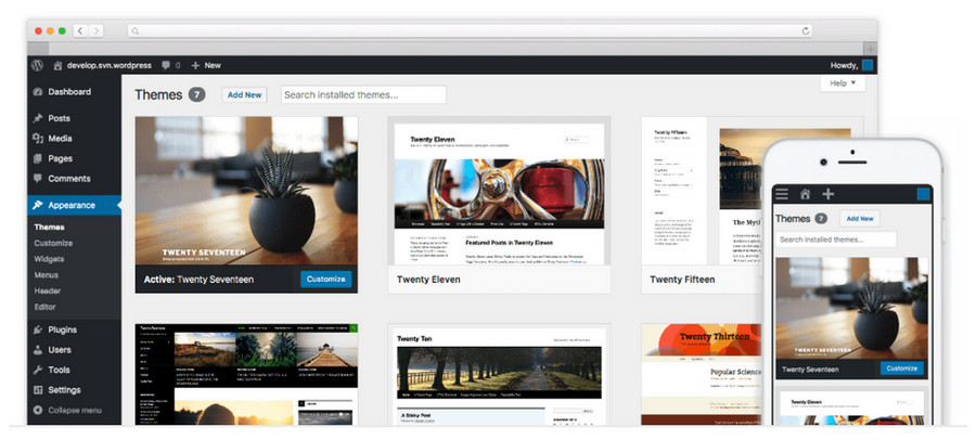 Wordpress Wordpress CMS