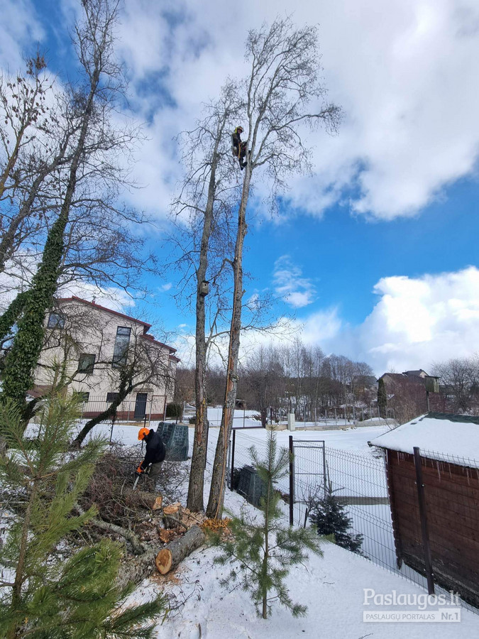 Aplinkos Tvarkymas Kaunas Medžių Pjovimas-genėjimas Darbų Pavyzdžių ...