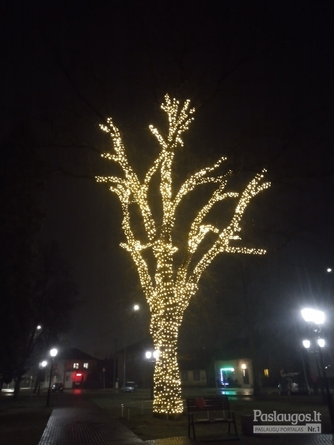 Šventinis medžių puošimas šviesų instaliacijomis.