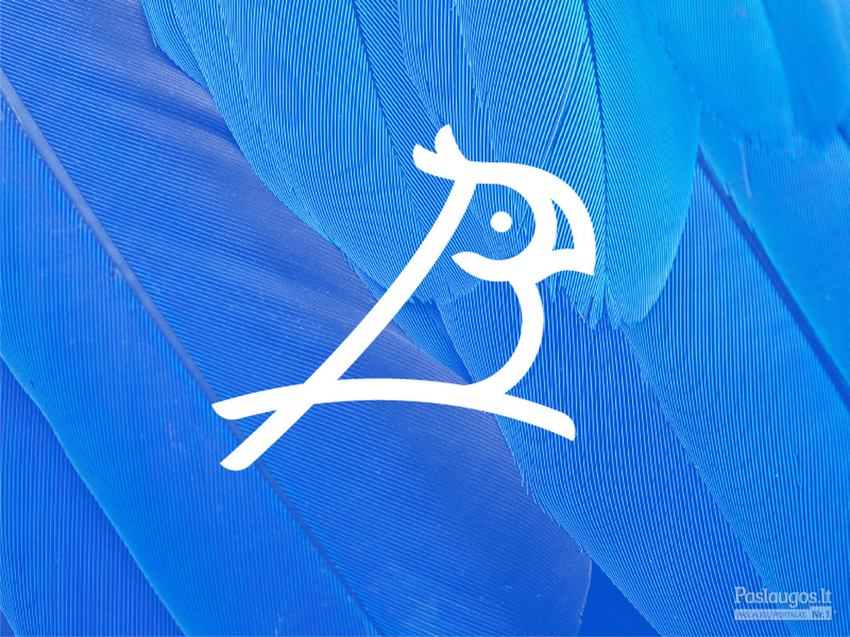 Bluebird   |   B + Bird + Parrot   |   For fun  |   Logotipų kūrimas - www.glogo.eu - logo creation.