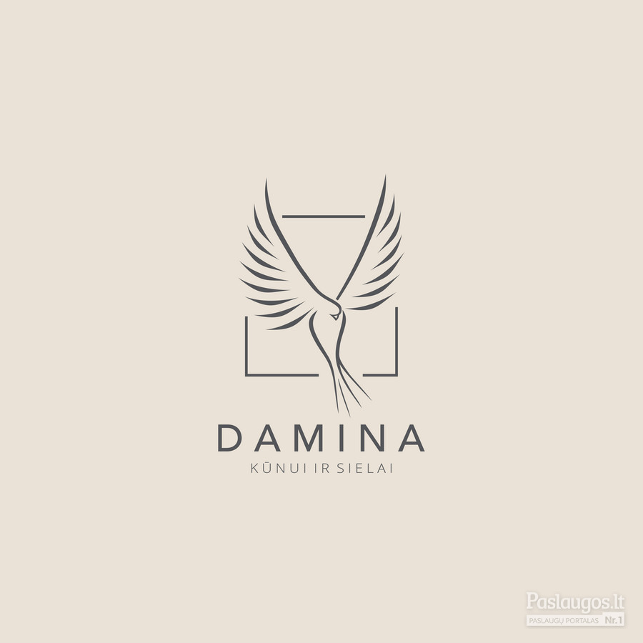 Logotipas. DAMINA