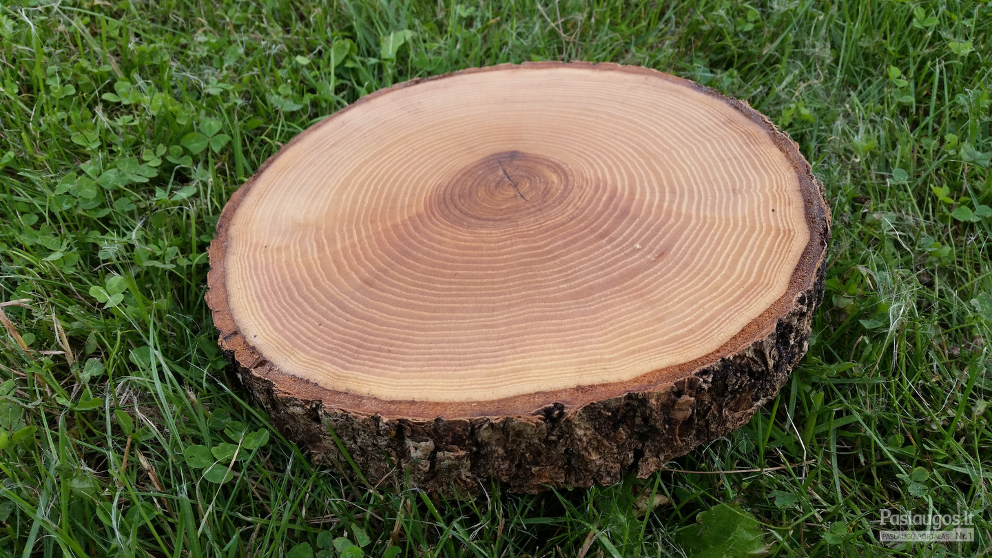 Uosio medienos padėklai (ripkos) impregnuoti aliejumi.
Storis 2-3 cm, diametras 18-26 cm