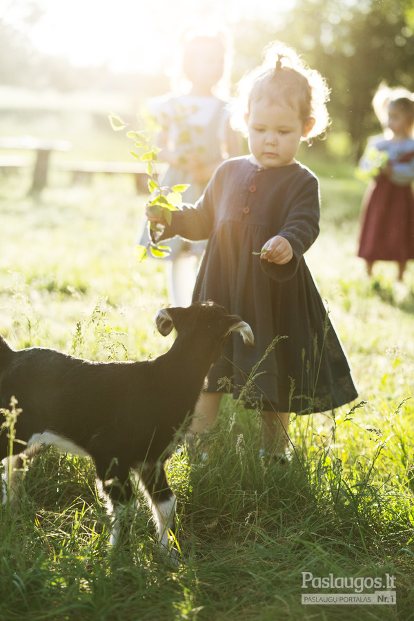 Šeimos, vaikų, poros ar asmeninė fotosesija gamtoje ožkelių ūkyje besileidžiant saulei, už Kauno ribų.