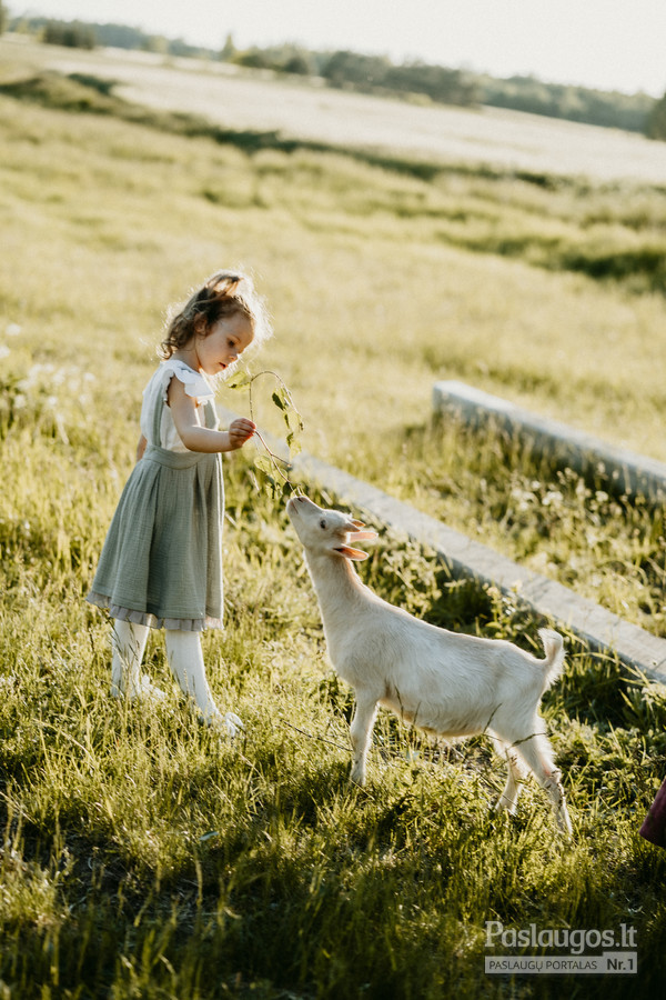 Šeimos, vaikų, poros ar asmeninė fotosesija gamtoje ožkelių ūkyje besileidžiant saulei, už Kauno ribų.