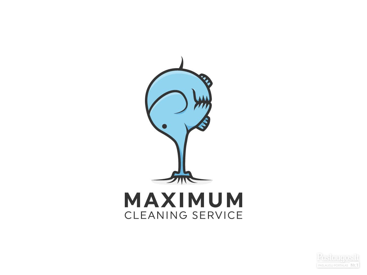 Maximum - cleaning services, valymo paslaugos   |   Logotipų kūrimas - www.glogo.eu - logo creation.