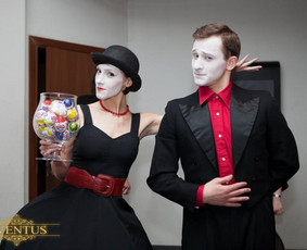 Renginių organizatorius / Tomas Sinkevičius / Darbų pavyzdys ID 1359