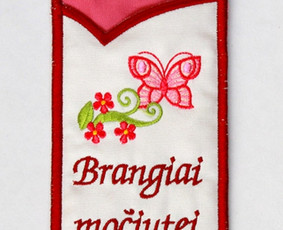 Akinių dėklas