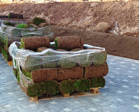 Aplinka, sodas - Aplinkos tvarkymas, apželdinimas - 2