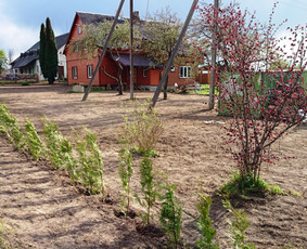 Aplinka, sodas - Aplinkos tvarkymas, apželdinimas - 1