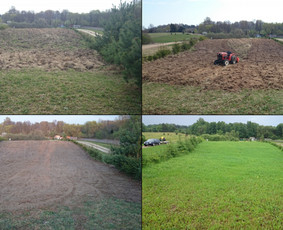 Aplinka, sodas - Aplinkos tvarkymas, apželdinimas - 4