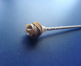 Rozyte