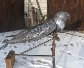 Kregždė.