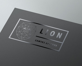 Logotipas  /  grafikos dizainerė  /  Vaida Vidmantaitė