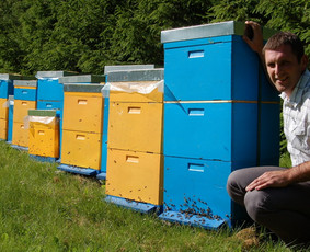 Bičių &scaron;eimų pardavimas - Bitininkas - 2