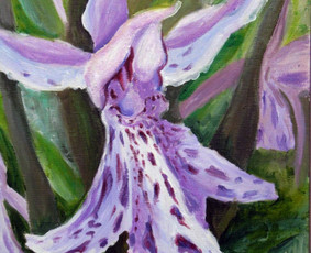 Paveikslų tapyba ir pardavimas - Dailininkė - 3