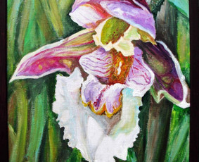 Paveikslų tapyba ir pardavimas - Dailininkė - 2