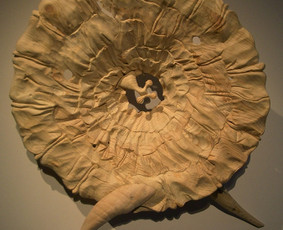 Dekoratyvinė skulptūra interjerui. Medis h - 80 cm.