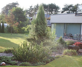 Apželdinimo projektas, įgyvendintas 2008 m. Kaunas, Lampėdžiai