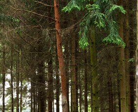 Poros fotosesija - Fotografas - 2