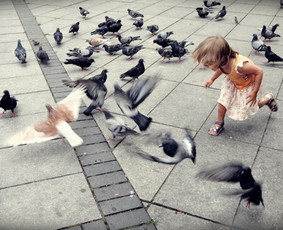 Renginiai, šventės - Fotografas - 1