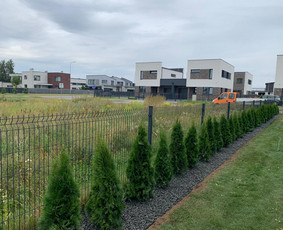 Kraštovaizdžio projektavimas, apželdinimas / MB MAMAFLORA / Darbų pavyzdys ID 2047602