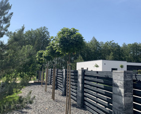 Kraštovaizdžio projektavimas, apželdinimas / MB MAMAFLORA / Darbų pavyzdys ID 2047608