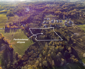 NT brokeris Vilniuje. Butų, namų, sklypų, miškų pardavimai / Eugenius Zacharevič / Darbų pavyzdys ID 2052334