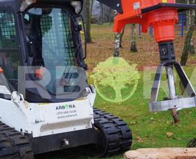 Gyvatvorių Karpymas, Formavimas, Vaismedžių Genėjimas / UAB ARBORA LT / Darbų pavyzdys ID 2053742