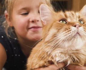 Video medžiagos montavimas / filmavimas - Reklaminių klipų kūrimas - 3 Reklaminių klipų kūrimas - Video medžiagos montavimas / filmavimas - 3