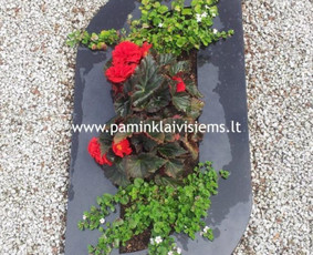 Paminklai, paminklų gamyba, kapaviečių tvarkymas / Kitos paslaugos / Darbų pavyzdys ID 2064048