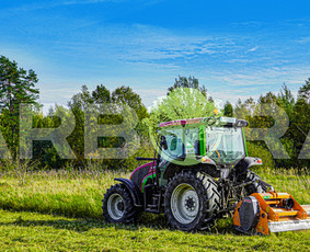 Statybos, apdaila - Teritorijų Priežiūra / Apleistų Sklypų Tvarkymas - 4