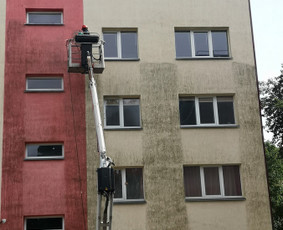 Stogų, fasadų, trinkelių, plovimo ir dažymo paslaugos / UAB Resto LT / Darbų pavyzdys ID 2066572