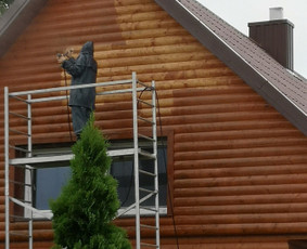 Stogų, fasadų, trinkelių, plovimo ir dažymo paslaugos / UAB Resto LT / Darbų pavyzdys ID 2066606