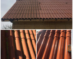 Stogų ir lietvamzdžių valymas - Stogų, fasadų, trinkelių, plovimo ir dažymo paslaugos - 4