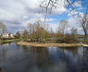 Stogų, fasadų, trinkelių, plovimo ir dažymo paslaugos / UAB Resto LT / Darbų pavyzdys ID 2066690
