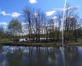 Stogų, fasadų, trinkelių, plovimo ir dažymo paslaugos / UAB Resto LT / Darbų pavyzdys ID 2066692