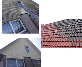 Stogų ir lietvamzdžių valymas - Stogų, fasadų, trinkelių, plovimo ir dažymo paslaugos - 3