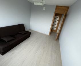 Dazymo darbai, kokybiška butų ir namų apdaila - Laminato klojimas - 3 Laminato klojimas - Dazymo darbai, kokybiška butų ir namų apdaila - 3