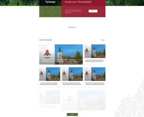 Web programuotojas su ilgamete patirtimi / Robertas Želvys / Darbų pavyzdys ID 2070842