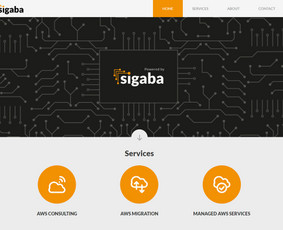 Web programuotojas su ilgamete patirtimi / Robertas Želvys / Darbų pavyzdys ID 2070850