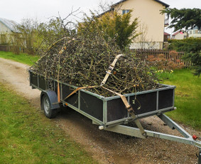 Genėjimas, apželdinimas ir kiti aplinkotvarkos darbai / Dainius Kubilius / Darbų pavyzdys ID 2072982