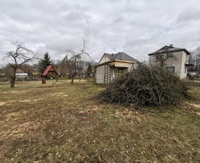 Genėjimas, apželdinimas ir kiti aplinkotvarkos darbai / Dainius Kubilius / Darbų pavyzdys ID 2072984