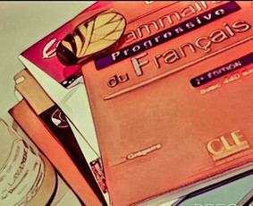 Prancūzų kalbos pamokos nuotoliniu būdu - Prancūzų kalbos pamokos nuotoliniu būdu, 25eur - 1