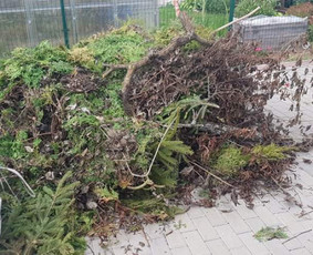 Šakų išvežimas - Visų Rūšių Šiukšlių Išvežimas griovimo darbai - 2