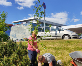 Apželdinimo paslaugos,projektų rengimas,aplinkos priežiūra / Žaliasis dizainas / Darbų pavyzdys ID 2076866