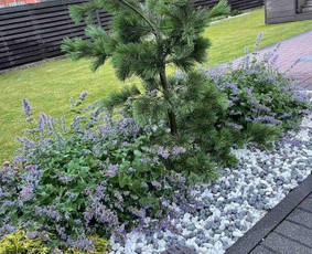 Visos apželdinimo paslaugos nuo idėjos iki realizavimo - Apželdinimo konsultacija - 1 Apželdinimo konsultacija - Visos apželdinimo paslaugos nuo idėjos iki realizavimo - 1