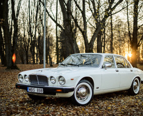 Klasikinių Jaguar Xj ir Cadillac Deville nuoma / Vilmantas Bulaka / Darbų pavyzdys ID 2081642