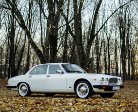 Klasikinių Jaguar Xj ir Cadillac Deville nuoma / Vilmantas Bulaka / Darbų pavyzdys ID 2081648
