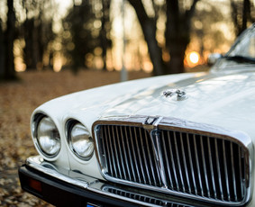 Klasikinių Jaguar Xj ir Cadillac Deville nuoma / Vilmantas Bulaka / Darbų pavyzdys ID 2081654