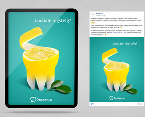 Facebook + Instagram + Tiktok + Linkedin / Ydyllic / Darbų pavyzdys ID 2082822